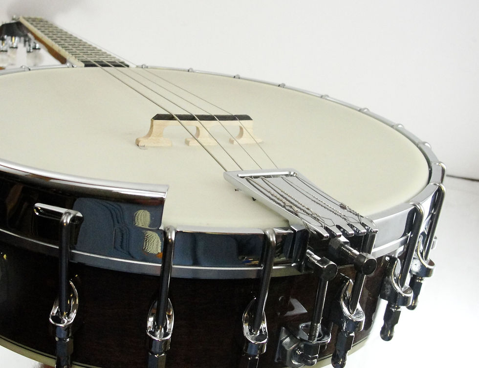 Thumbnail: Gold Tone IT-250 Irish Tenor c2016