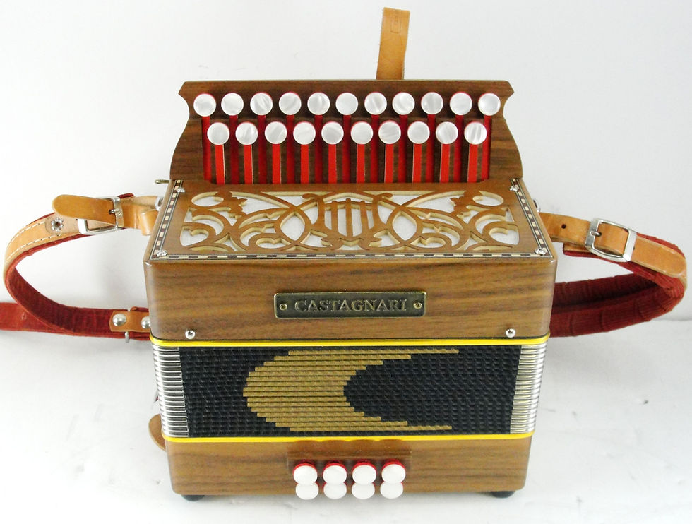 Castagnari Button Accordion w/ Case