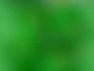 Happy St. Patricks Day!