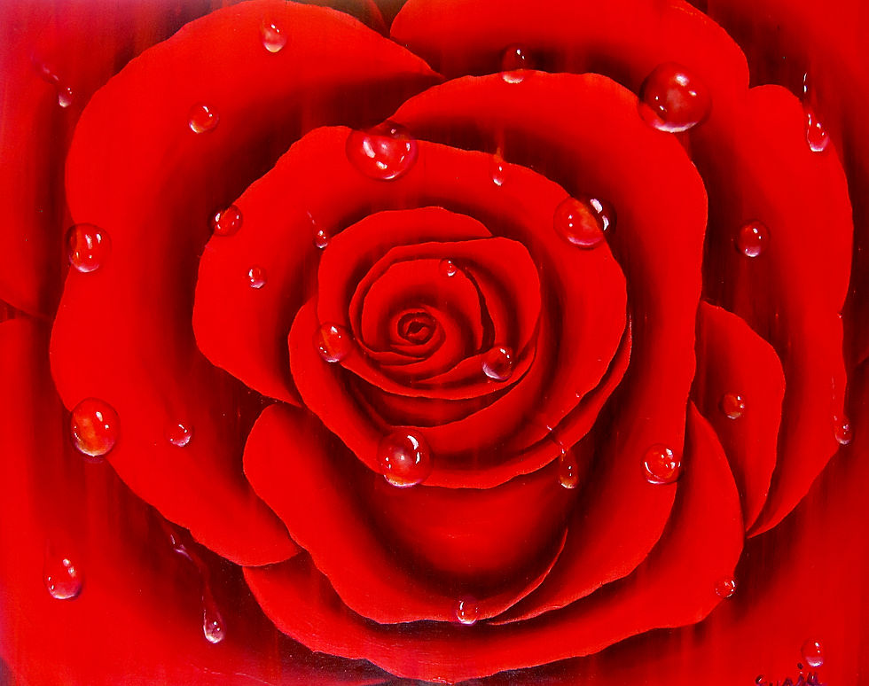 rose & water drop
