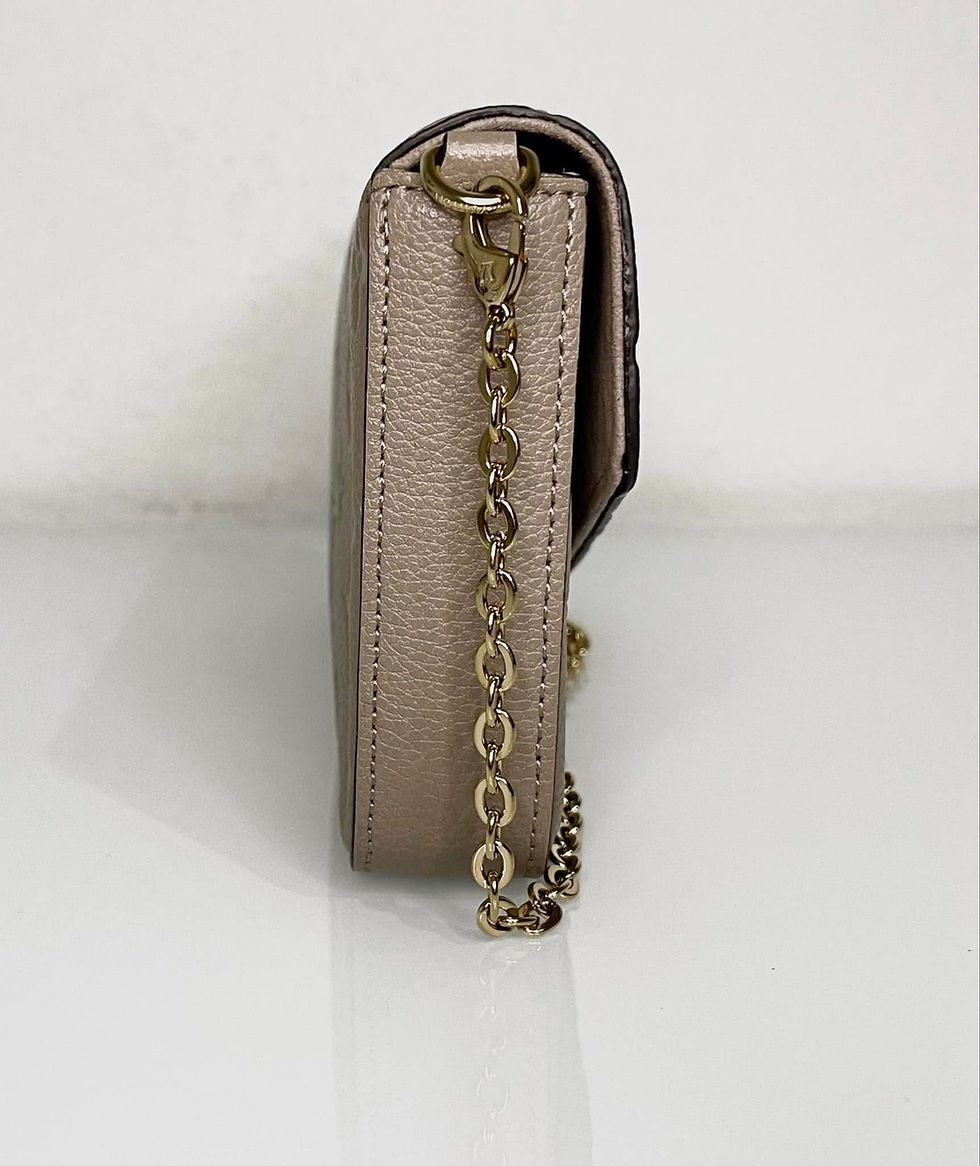 Thumbnail: Louis Vuitton Pochette Felicie Bag