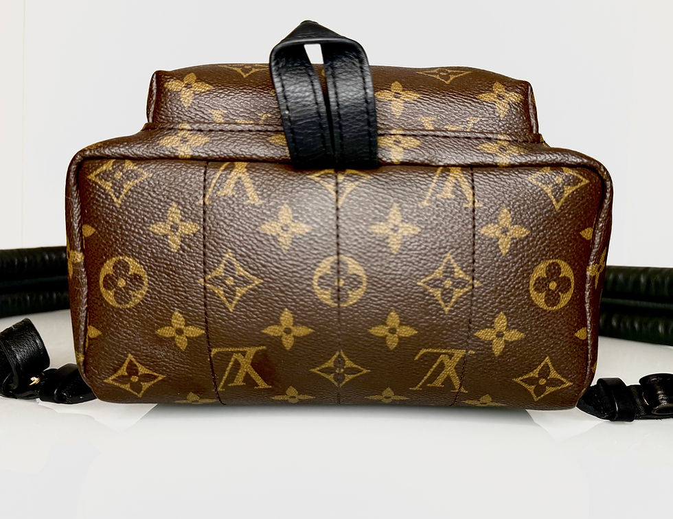 Thumbnail: Louis Vuitton Palm Springs PM Backpack