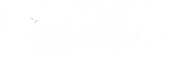 _ (4000 x 2500 px)_edited.png