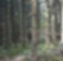 _DSC0448_edited.jpg