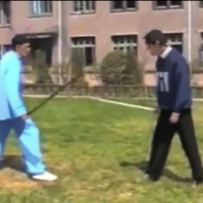 Wu Wei sword combat combinations - Jian Fa