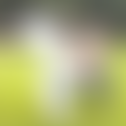 3 New Combat Combinations have been added to Video Catalog 'Combat Combinations'