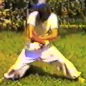 We added the New Video Catalog 'Phase 2 of the Rolling Power Exercises - Hun Yuan Gong'.
