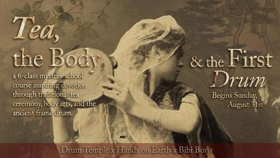 Tea, the Body, and the First Drum™