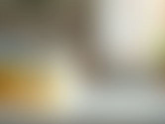 maine cleaning company