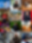 collage.png