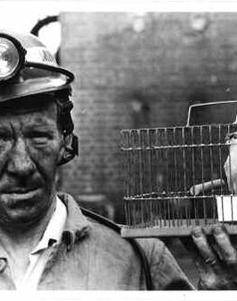 Social Media Single-Handedly Ruins My Writing