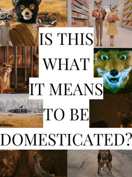 Fantastic Mr. Fox (2009) is an Animal Movie about Human Nature