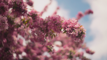 Design sans titre.png