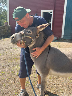 teacher with donkey