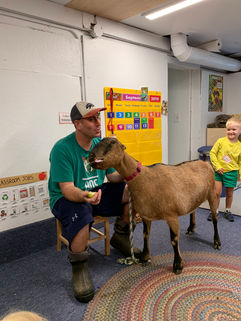 Apple Orchard Goat