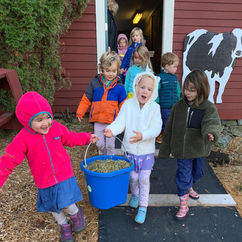 students feeding animals
