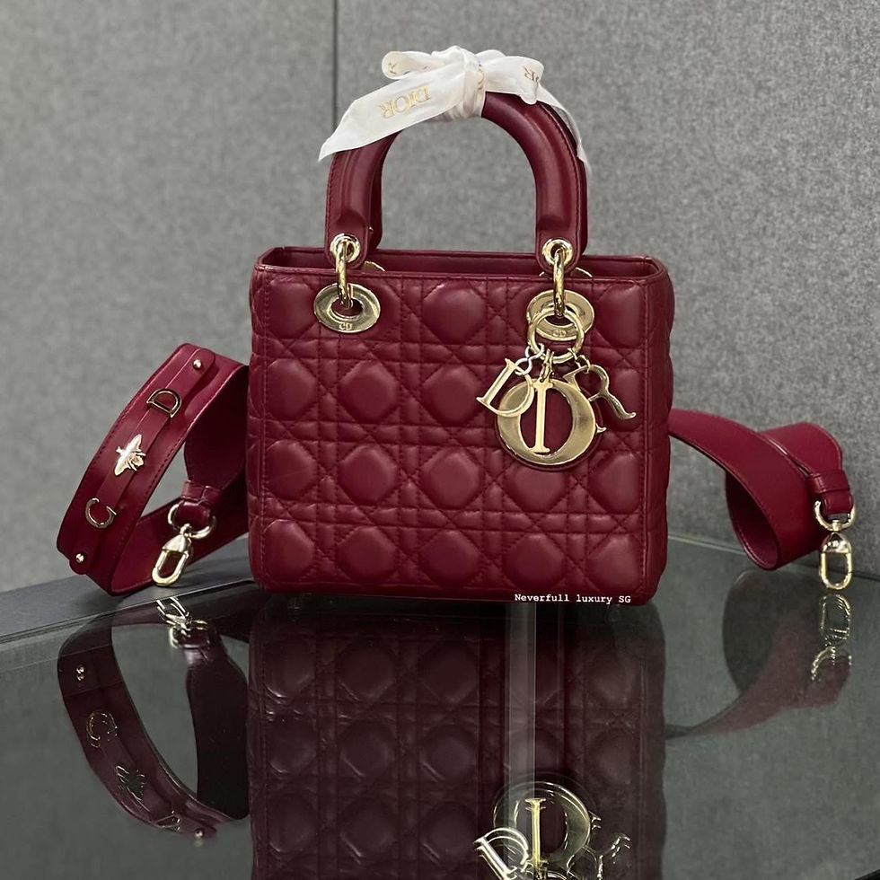 Christian Dior Small Lady ABCDior Front View