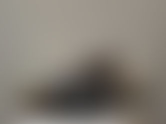 Neverfull Luxury Bags Collection with Dior, Chanel and Louis Vuitton.