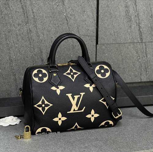 Louis Vuitton: Speedy 25 Bandoulière Bicolour M5894