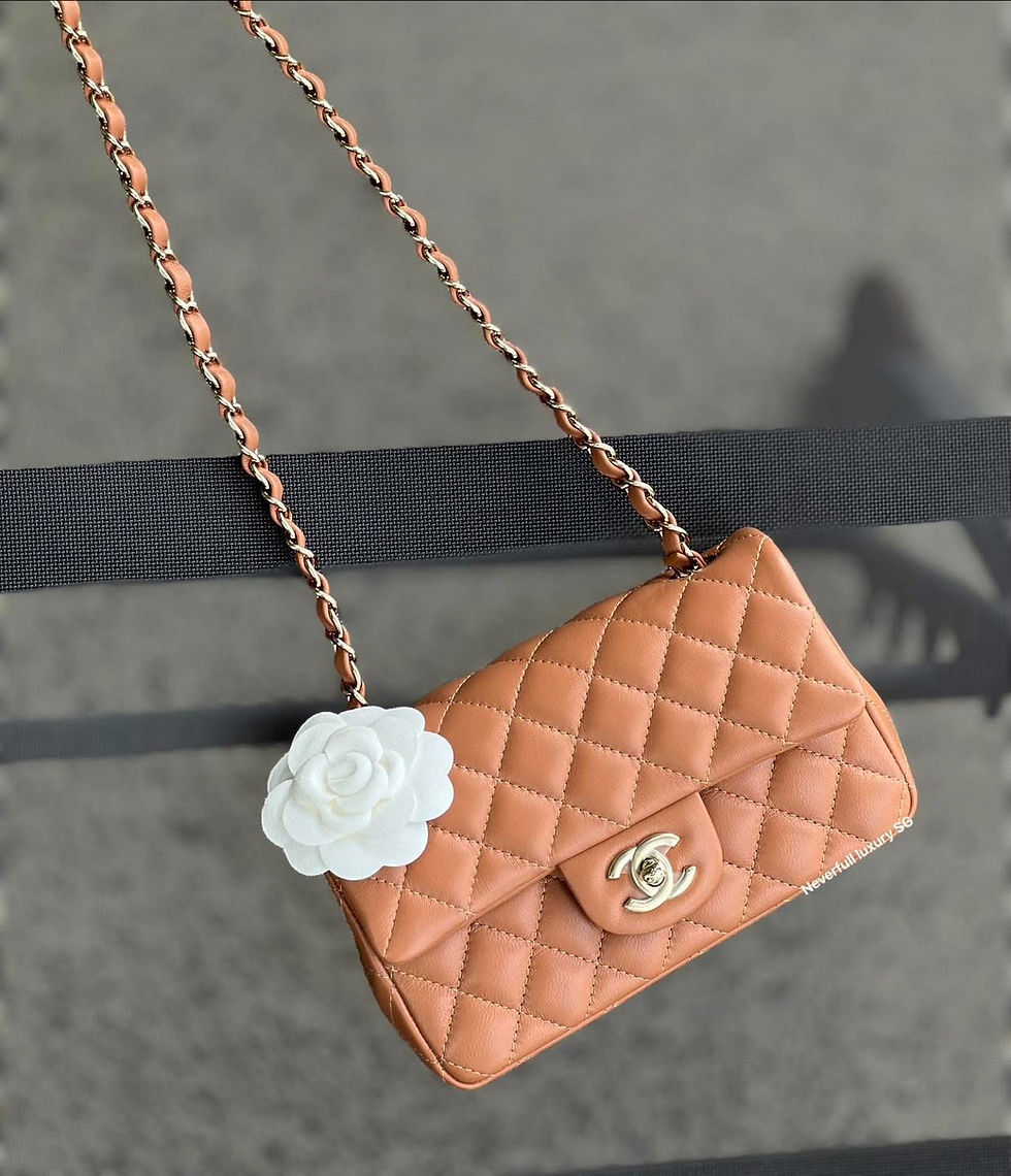 Chanel Mini Rectangular 22S handbag