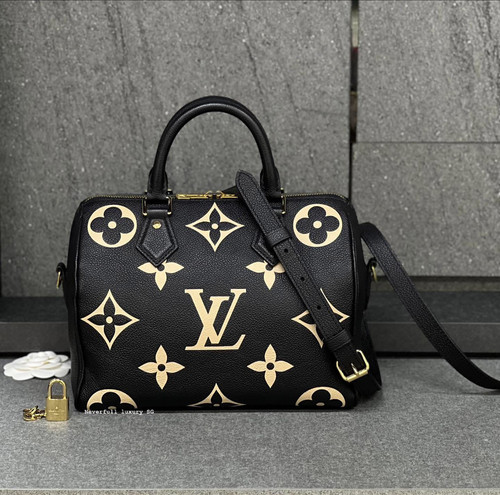 Louis Vuitton: Speedy 25 Bandoulière Bicolour M5894 | NEVERFULL LUXURY