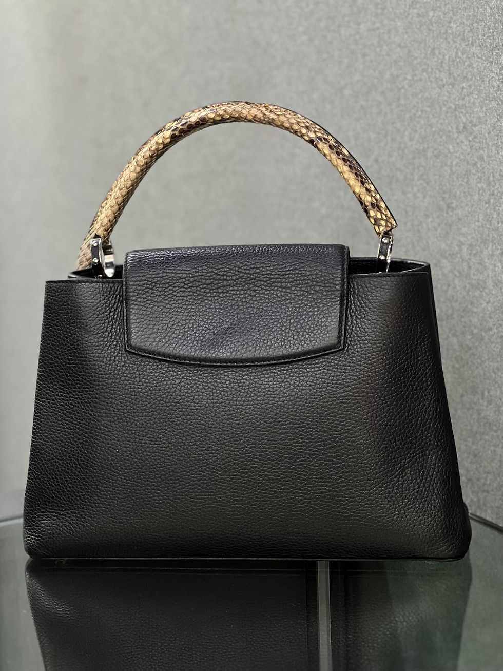 Louis Vuitton Capucines MM in Black Back View