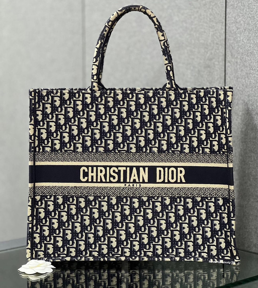 Christian Dior Book Tote Bag