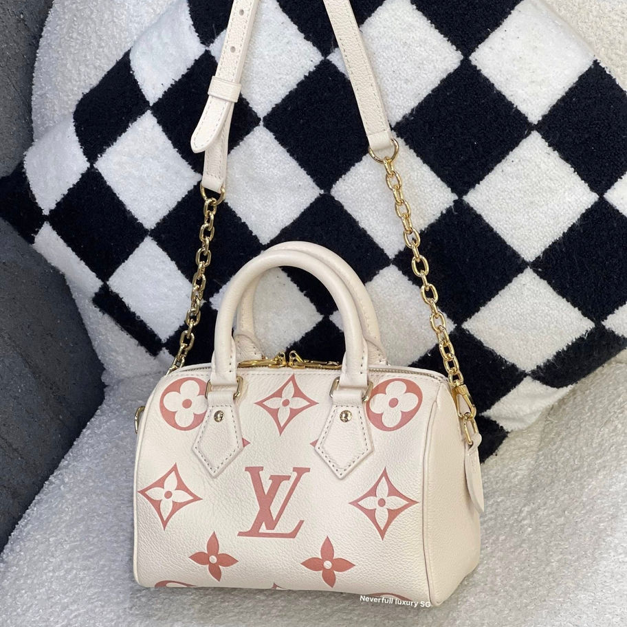 Louis Vuitton Speedy 20 Bandouliere Bicolour Back View