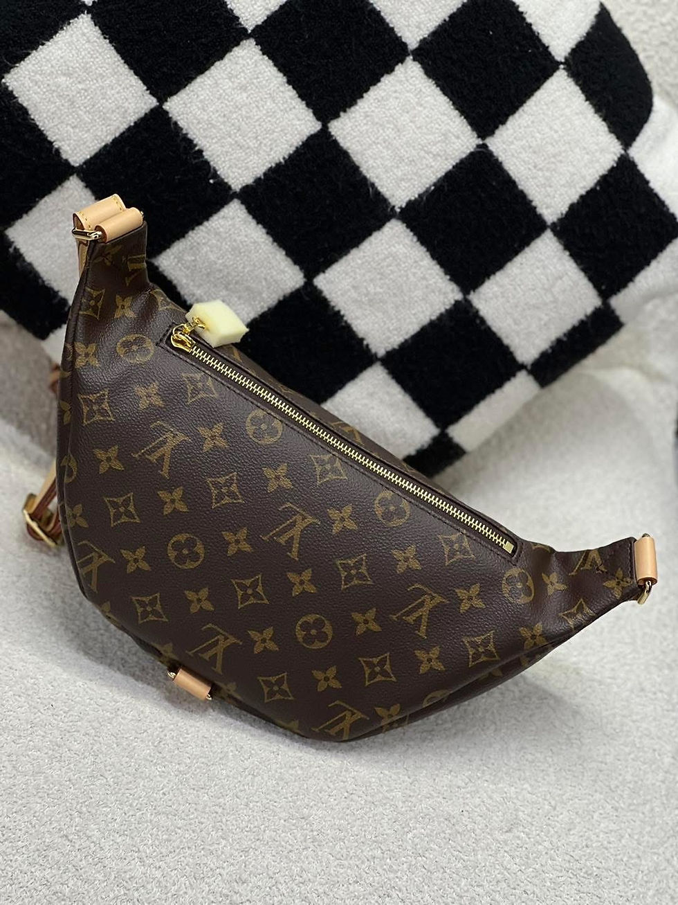 Louis Vuitton Bumbag VVN Back View
