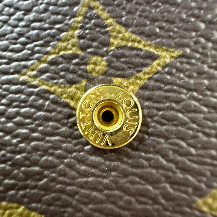 Louis Vuitton Monogram Canvas detail