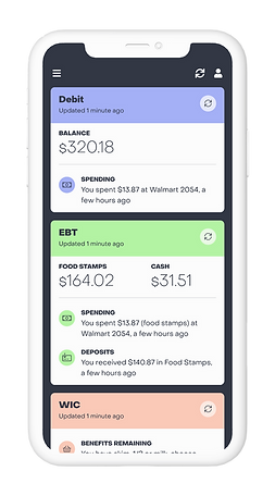 Providers - Home Screen (Debit, EBT, and WIC Balances) - w Device_mini.png