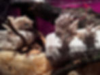 with Mushrooms