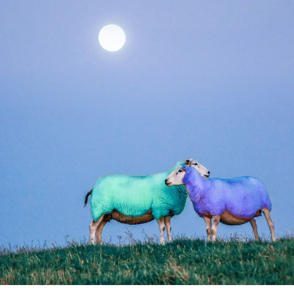 Sirène Lab editorials covering strategy, SEO, websites, branding and performance