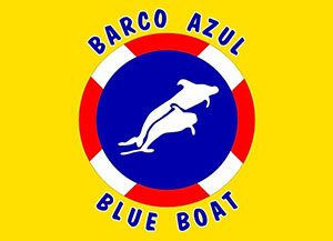 blue_boat-300x217.jpg
