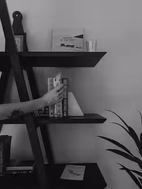 interactive book shelf.avif