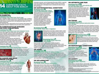 14 Suprising Facts About Pure Barley