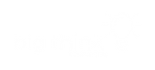 big think-logo-white.png