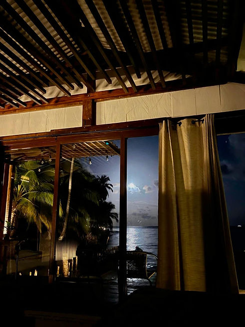 WhatsApp Image 2026-02-20 at 12.13.33 PM (3).jpeg