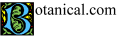 Botanical Image.gif