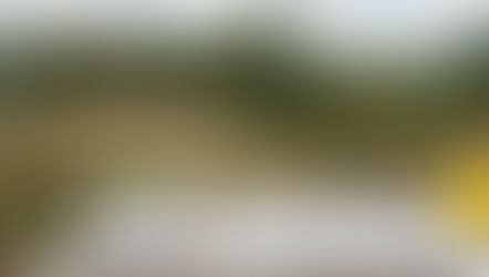 A wide-angle, eye-level photograph taken from behind a rustic wooden table in the foreground, looking out over a cleared development site. On the wooden table are documents organized with a clipboard, including pages titled "TITLE DOCUMENTS," "SITE PLANS" (with a map and contour lines), "ENGINEERING REPORT," and "CONTRACT OF SALE," along with a yellow construction hard hat, a tape measure, and a pen.
