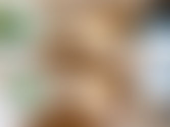 A before-and-after comparison image of a modern kitchen with warm wood cabinetry, white marble countertops, and views of tropical greenery. The top image shows the completed renovation, while the bottom image shows the same kitchen with construction defects marked by red indicators and measurement tools, including a level on the countertop. Overlaid are two documents: a checklist titled '1,901 Directions to Rectify' with multiple checked items, and a QBCC warranty document featuring Schedule 1B with the phrase 'good and workmanlike manner' highlighted in a red box, illustrating construction quality standards and defect rectification processes under Queensland building regulations.