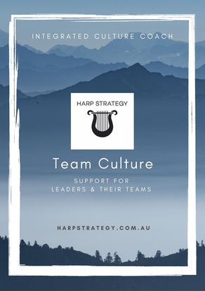 INTEGRATED CULTURE 