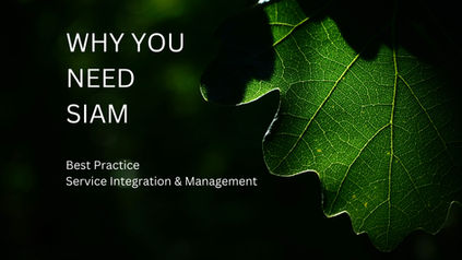 Harp Strategy: Best Practice SIAM