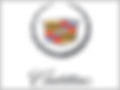 logo7.jpg