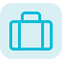 baggage (1).png