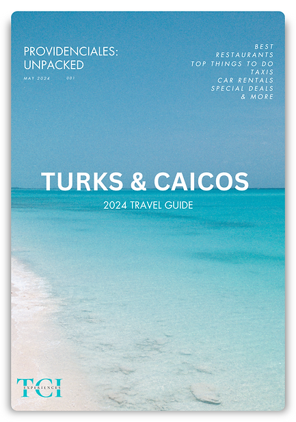 Lead Magnet People in Turks (2).png