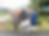 🔐乾乳舎新設と飼料見直しで低カル発症ほぼゼロ 北海道枝幸町・戸澤牧場