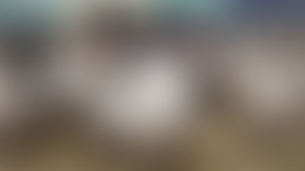 《北のめん羊ワンダーランド 6》放牧の利点と落とし穴　疾病管理と血統登録の課題