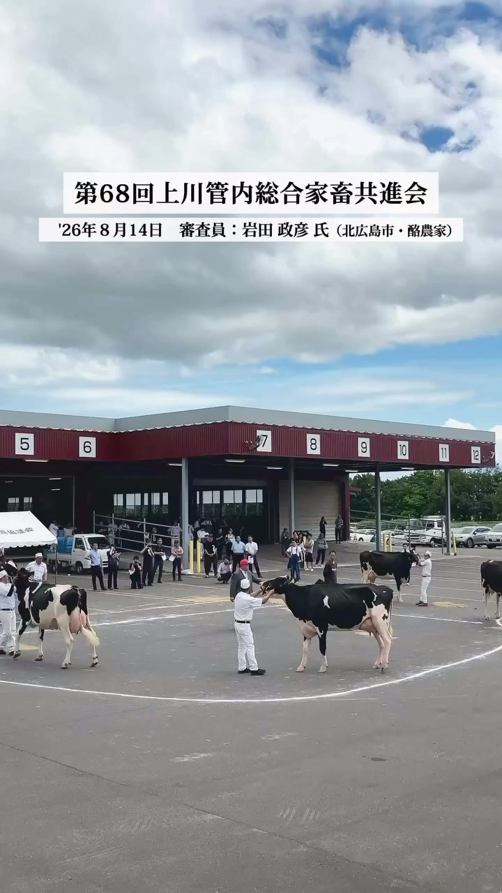 《動画》第68回上川管内総合家畜共進会　主な受賞牛を紹介