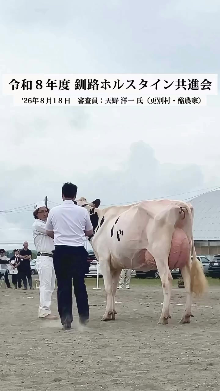 《動画》令和8年度釧路ホルスタイン共進会　主な受賞牛を紹介